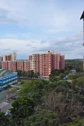Blk 573 Pasir Ris Street 53 (Pasir Ris), HDB 4 Rooms #188655762